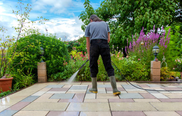 Animal Enclosure Cleaning in Solvang, CA